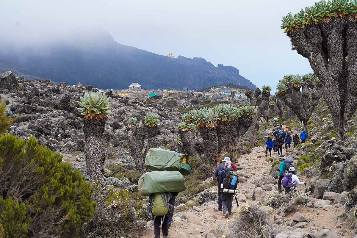 Roof of Africa Trek